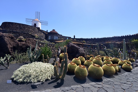 El Jardin del Cactus Lanzarotel